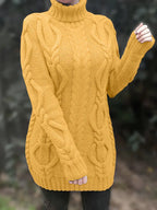 Narda Women's Turtleneck Dress