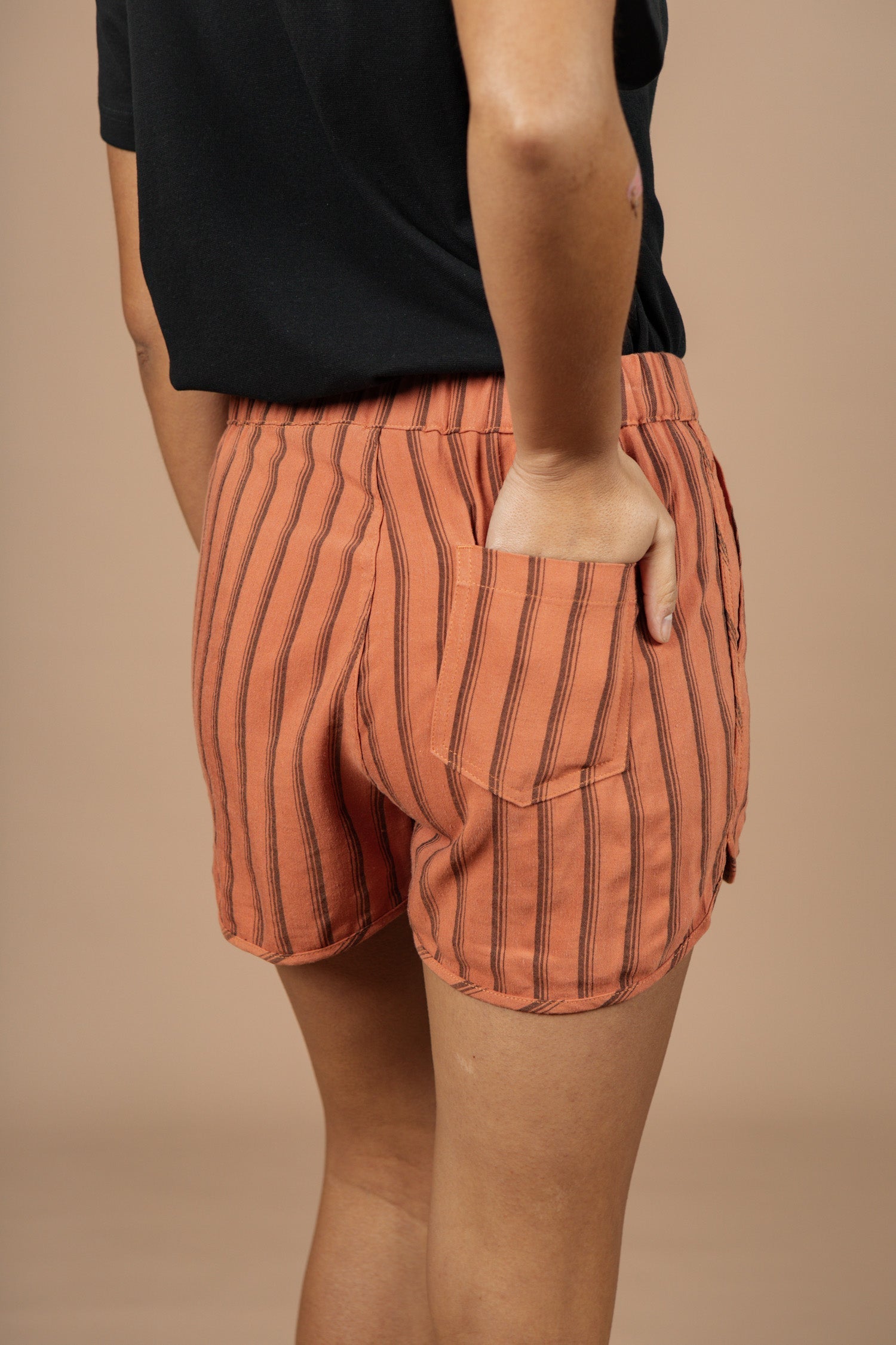 Luca Shorts / Rusty Stripe