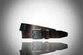 Tricolour Paris Belt