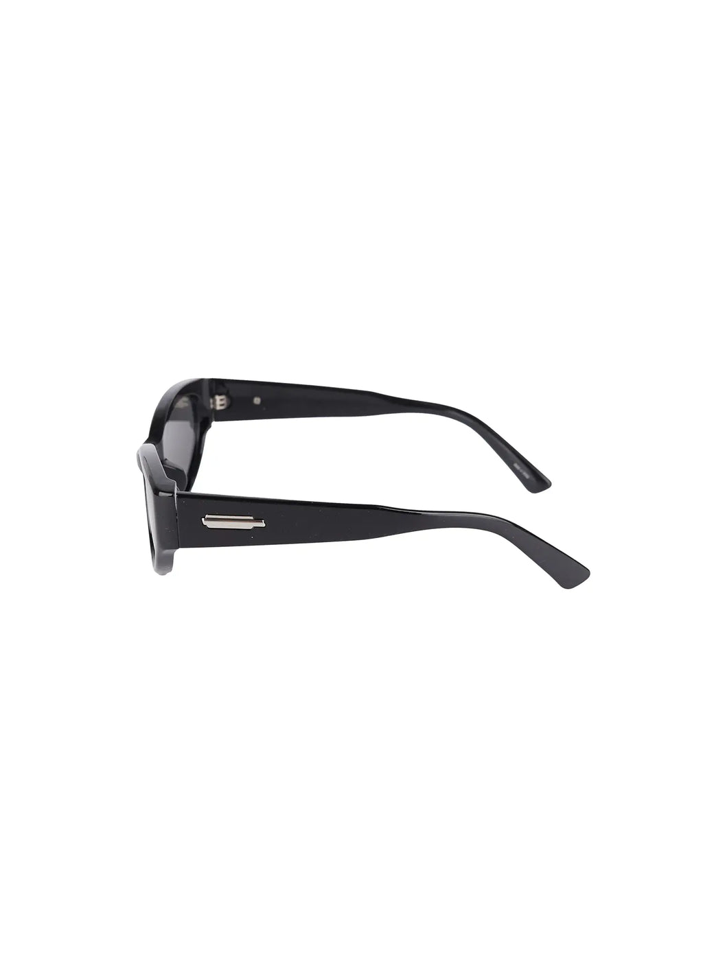 Sunglasses with Accent Colour