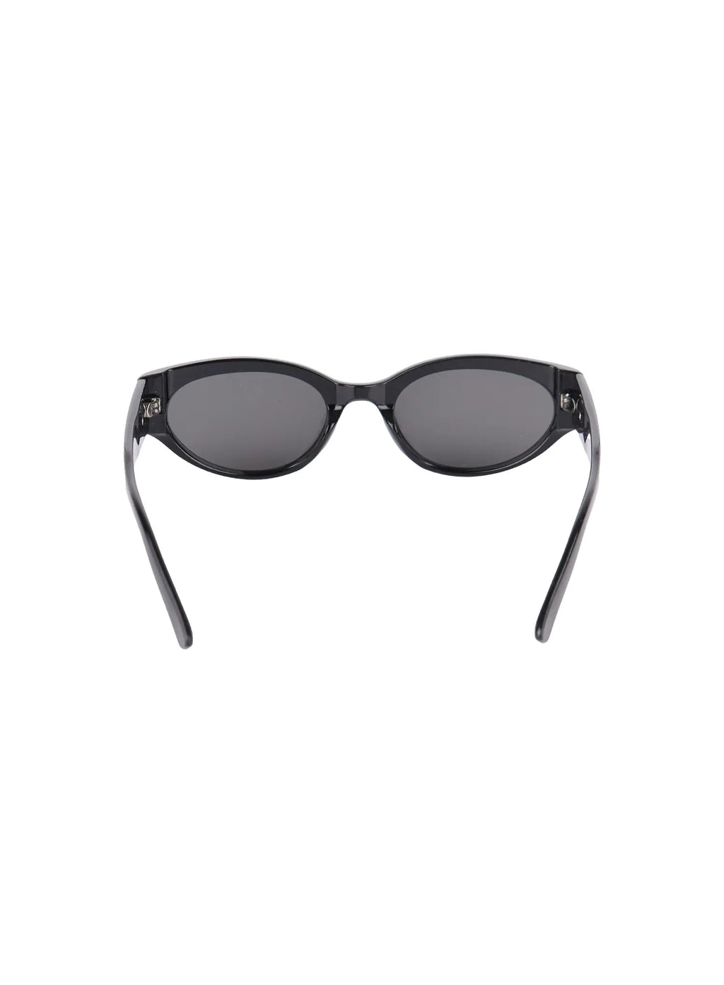 Sunglasses with Accent Colour
