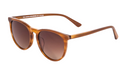 Komorebi | Vintage Braun Gradient Glasses