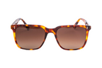 Tortoiseshell | Burgundy Brown Gradient Lens