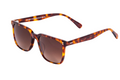 Tortoiseshell | Burgundy Brown Gradient Lens
