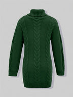 Narda Women's Turtleneck Dress
